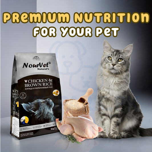 Nourvet Natural (Chicken) Kitten & Cat Food